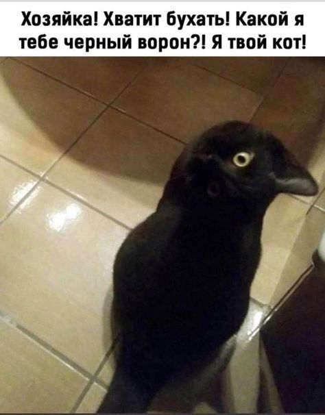 На эти фото нужно смотреть дважды