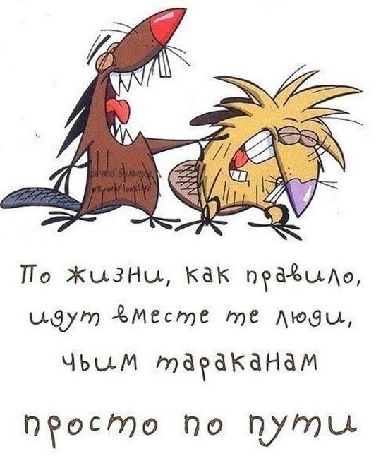 Прикольные и просто красивые картинки 10.12.2024