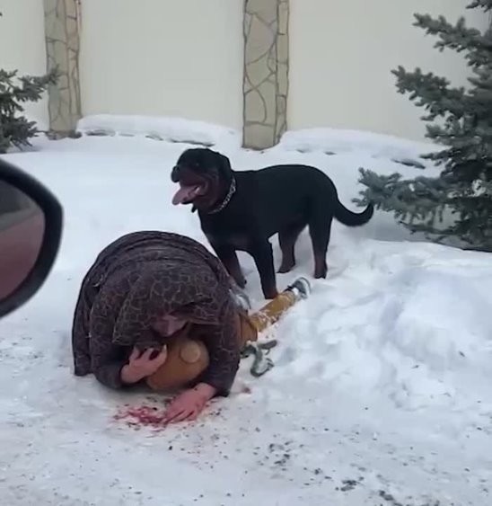 А может это и была проверка людей на человечность ?