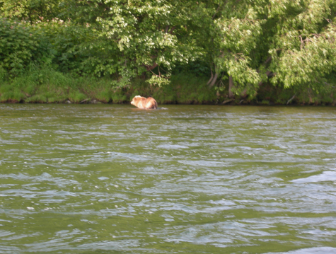 Камчатка. Вулканы. Рыбалка.