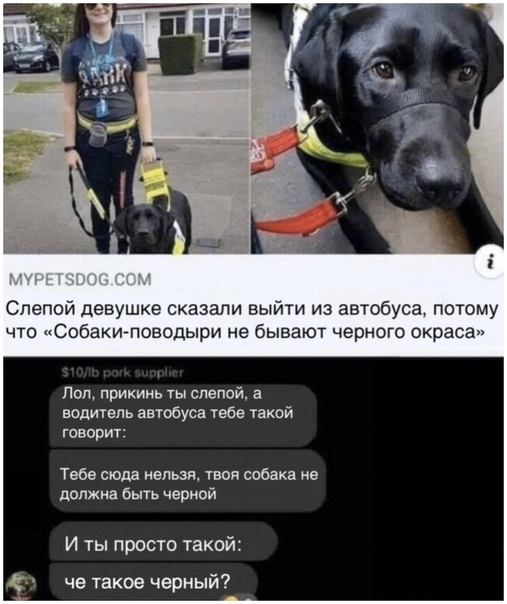 Картинки для деградации 9 (разной степени свежести)