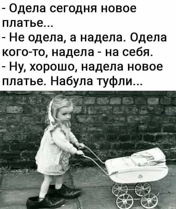 Так себе картинки 24.08.25