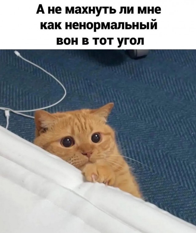 Так, стоп! А чё это мы по людской лестнице ходим? У нас же своя есть!