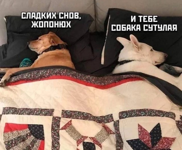 Картинки для деградации 49 (разной степени свежести)