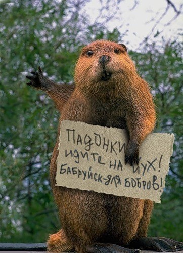 Кто из Минска, прошу совета