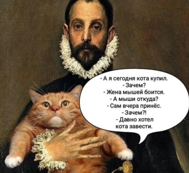 Подборка картинок-баянов с котиками и про котиков. Выпуск 21