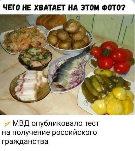 Какое право гражданина России может быть проиллюстрировано этим изображением?