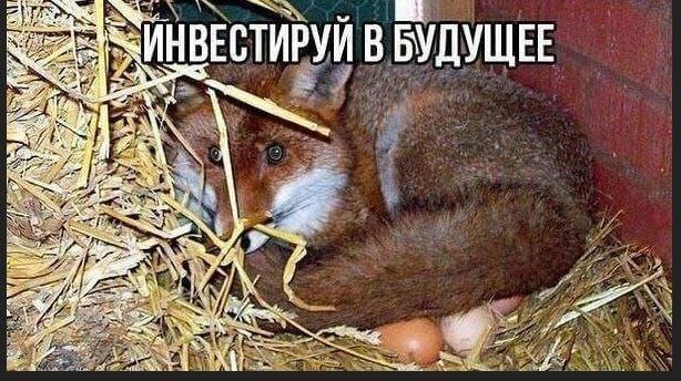 Картинки для деградации 131 (разной степени свежести)