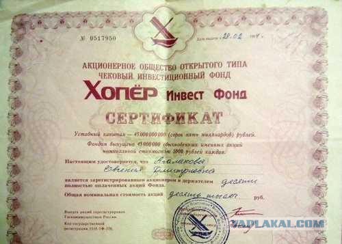 Волк в Воронежском заповеднике.