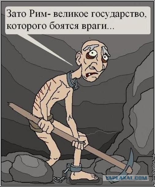 Современные трутни.