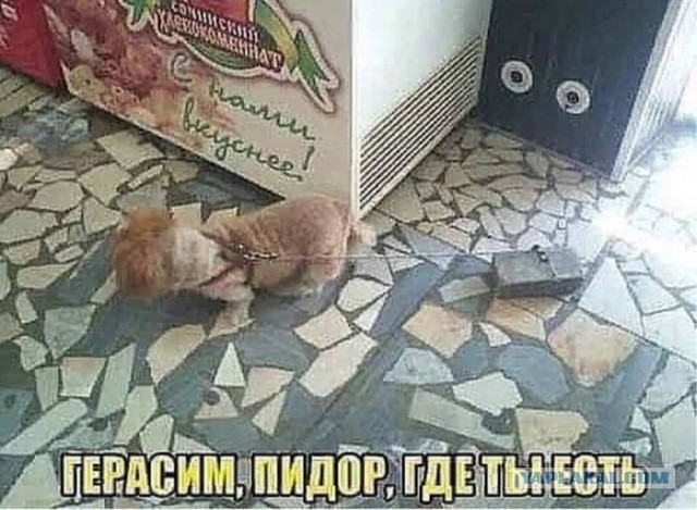 Картинки для деградации 173 (разной степени свежести)