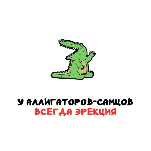 Интересные и короткие факты на все случаи жизни 19.04.26