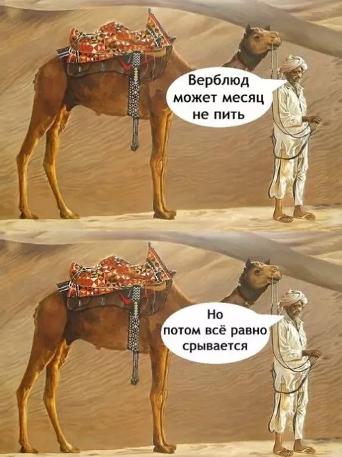Картиночки, баянчики 26 апреля