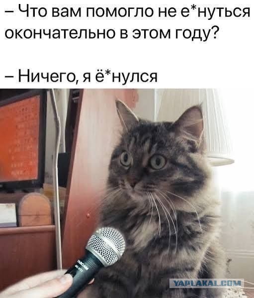 Картинки для деградации 271 (разной степени свежести)