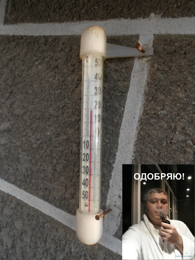 Домашнее вино..