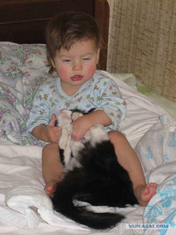 Кошка и котё... ребёнок