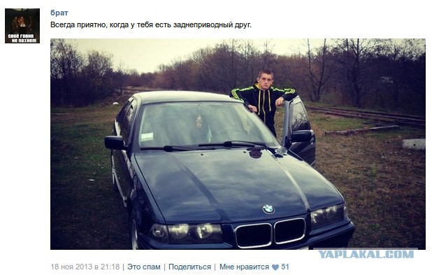 Новые "комментарии из соцсетей"
