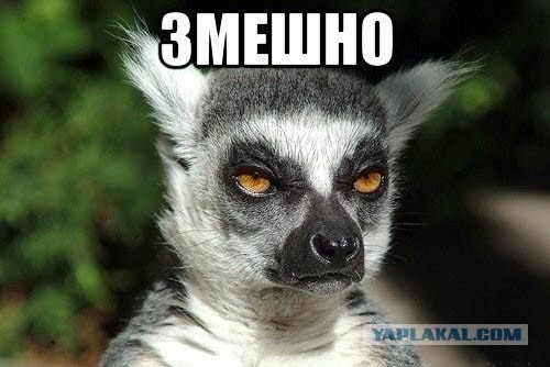 Мяч для псаки