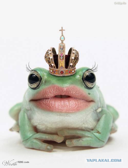 Чёрт, чёрт, чёрт!