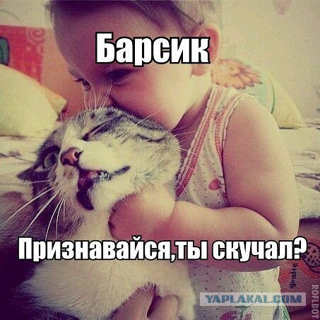 Сбрил бороду - испугал ребёнка!