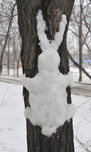 Сам белый, а хвост пупочкой?