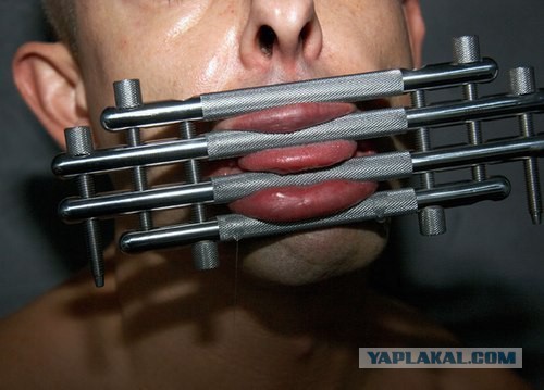 Мы любим шоппинг