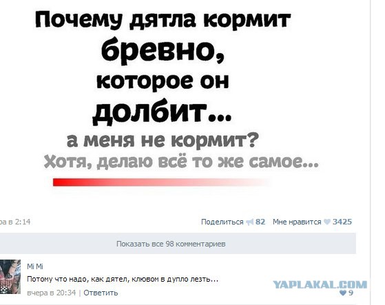 Смешные комментарии из социальных сетей