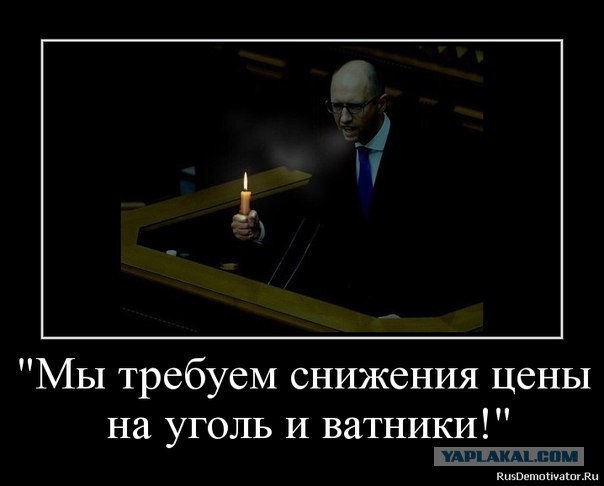Жабы на яйценюха