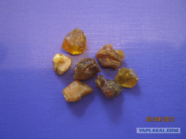 Каменная летопись