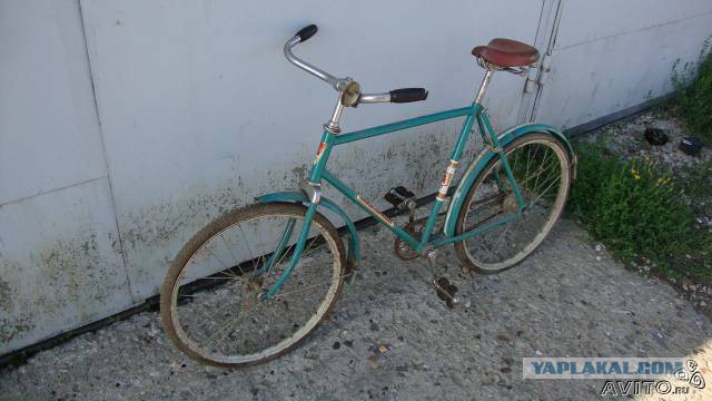 Мои велики, начиная с самого первого