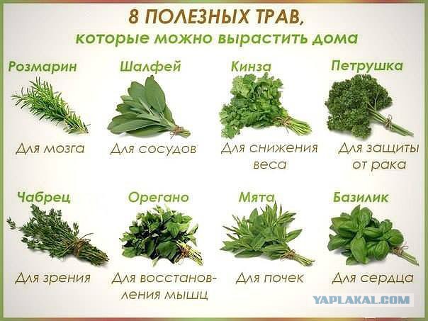 Главные шедевры промышленного дизайна СССР