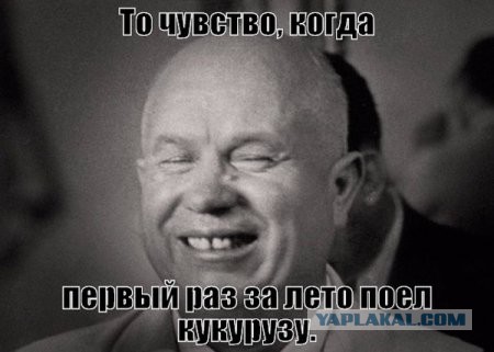 Картинки из инета