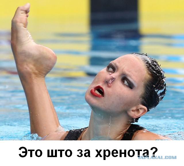 В швейных войсках объявлено сто дней до приказа