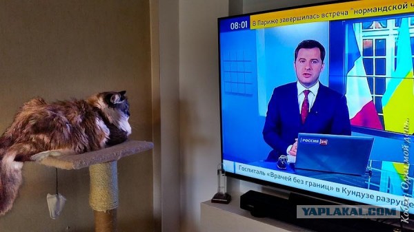 Я Кобах и ниже мой день