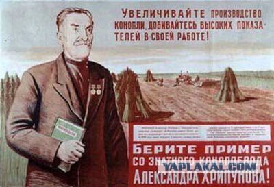 Конопля 36 лет назад