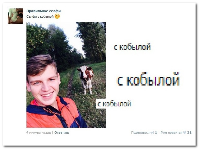 Смешные комментарии из социальных сетей