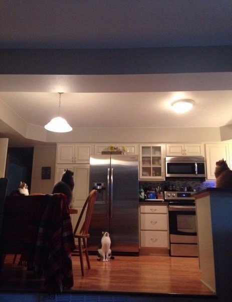 Интересные и веселые картинки