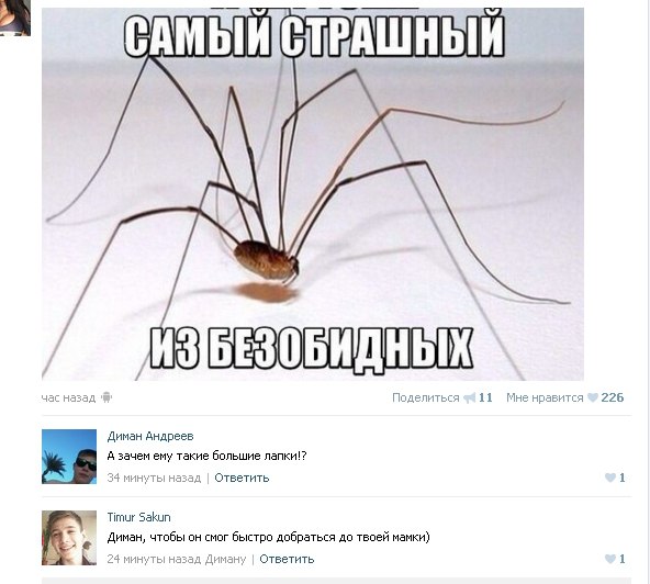 Ужасы и приколы из соцсетей 18+