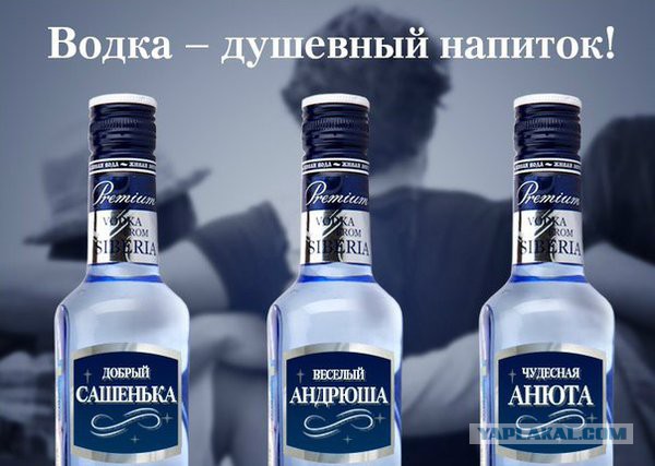 7803485.jpg