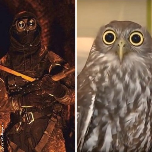 Современная экипировка солдат, делающая их похожими на пришельцев из будущего