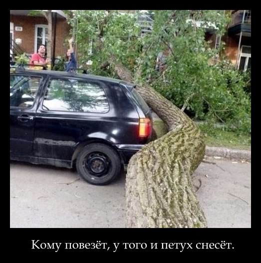 Подборка смешных картинок с надписями