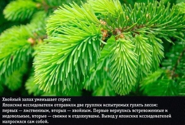 Подборка "тёплых уютных домашних" фотографий, часть 6
