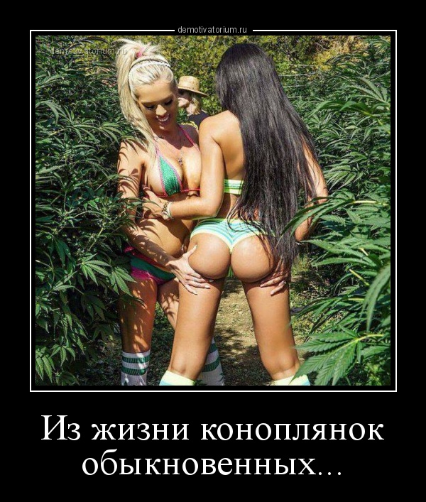 Подборка интересных и веселых картинок