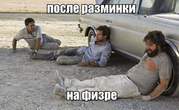 Подборка безудержного веселья