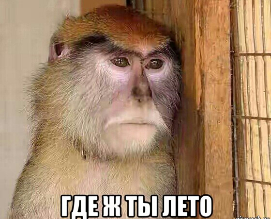 Смешные комментарии из социальных сетей 02.06.2017