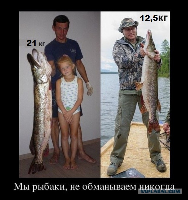 После прямой линии с Путиным