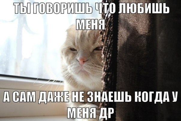 Выходные! Деградировать подано!