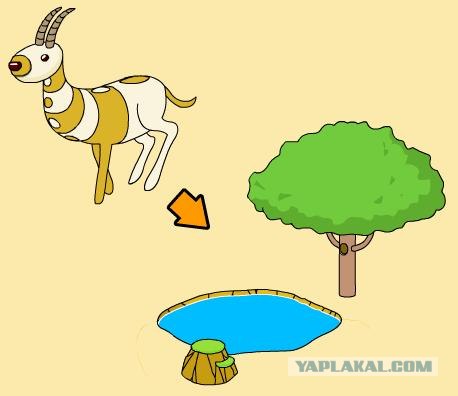Transform