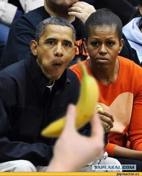 Происхождение интернет мемов которые мы все так любим