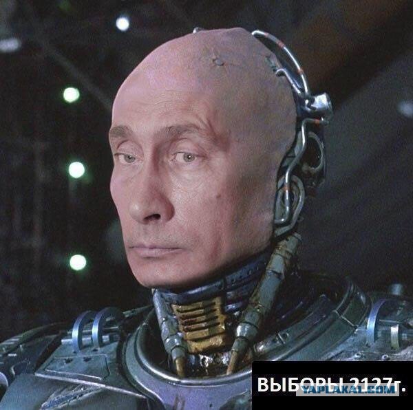 Сборище картинок